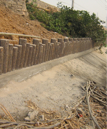 河道建筑打樁木